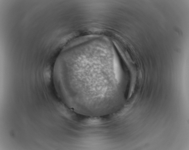 X0000113590668200910091501