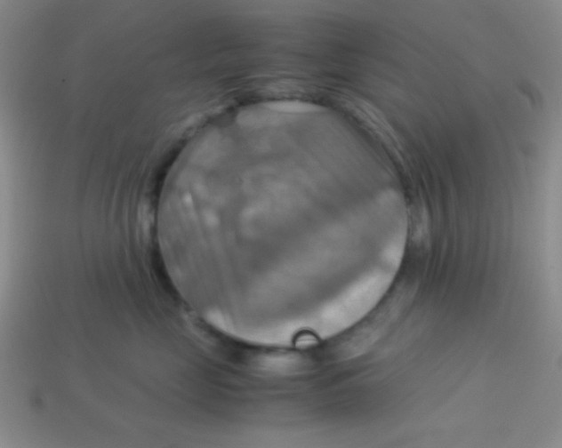 X0000113590669200910091501