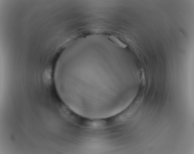 X0000113590670200910091501