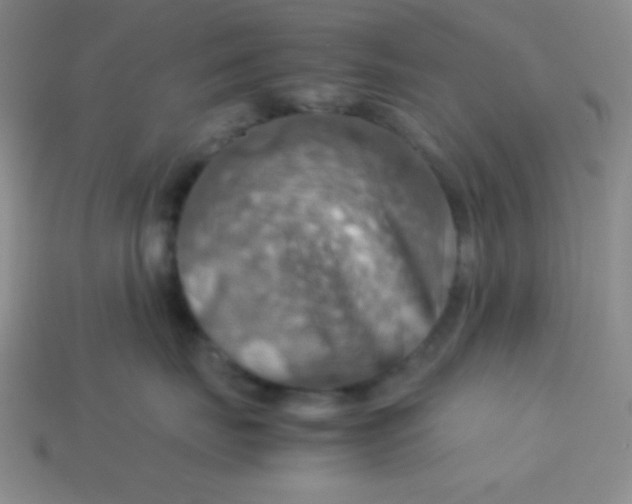 X0000113590671200910091501