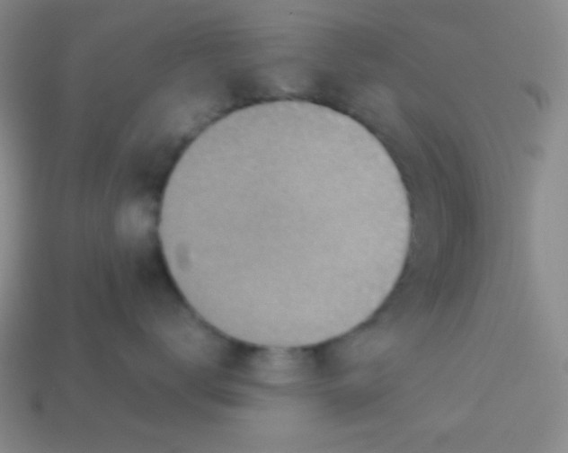 X0000113590672200910091501