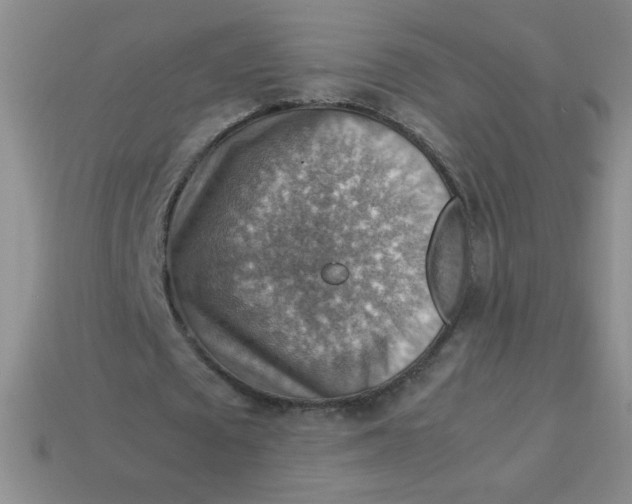 X0000113590673200910091500