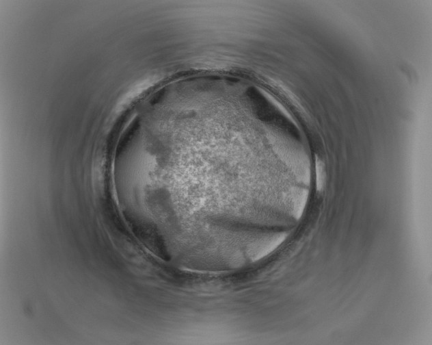 X0000113590675200910091500