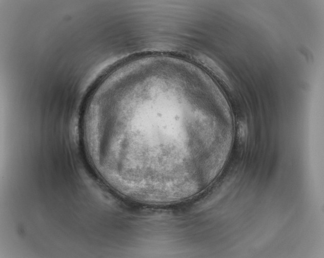 X0000113590676200910091500