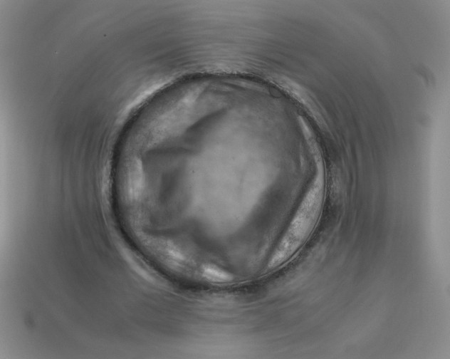 X0000113590677200910091500