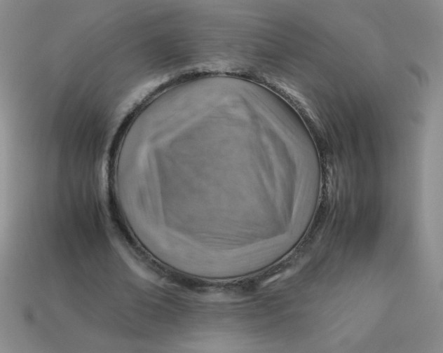 X0000113590678200910091500