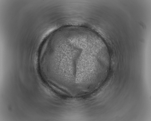 X0000113590679200910091500