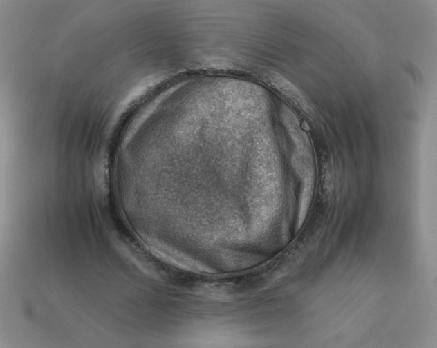 X0000113590680200910091500