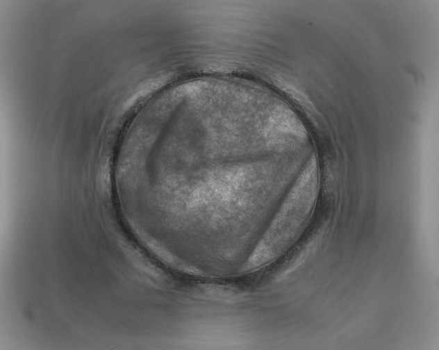 X0000113590681200910091500