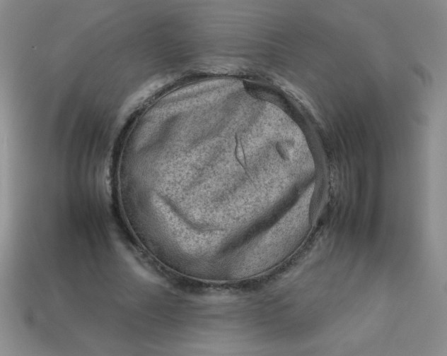 X0000113590682200910091500