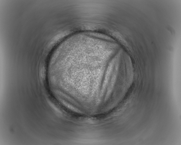 X0000113590683200910091500