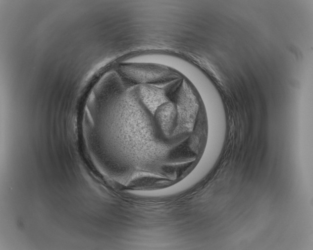 X0000113590684200910091500