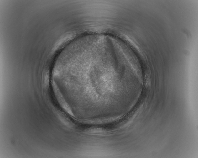 X0000113590685200910091500