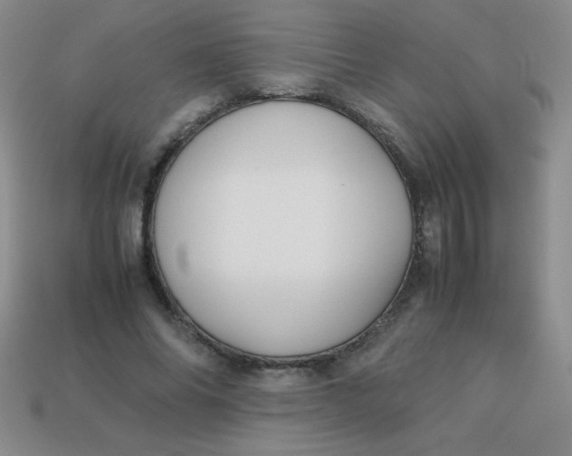 X0000113590686200910091500