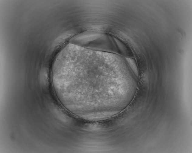 X0000113590688200910091500