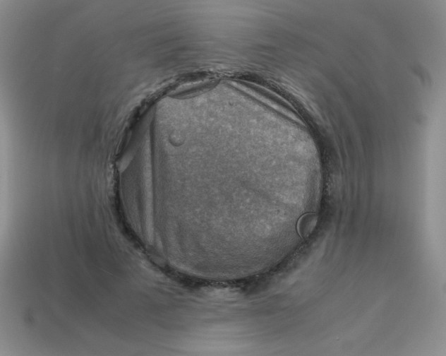 X0000113590689200910091500