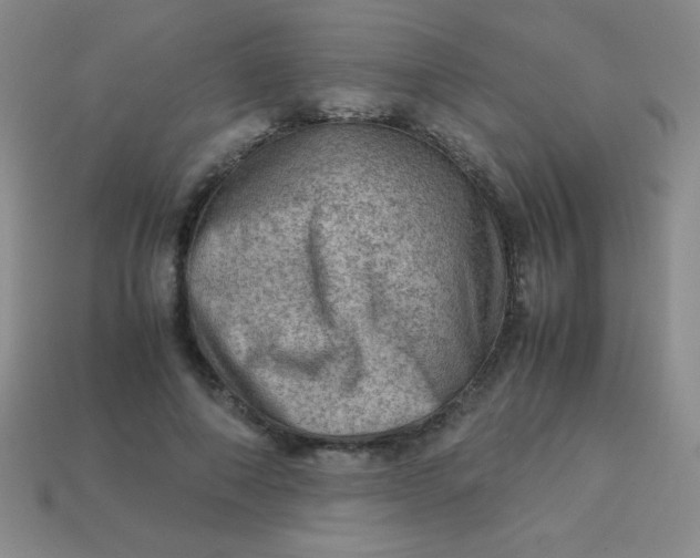 X0000113590690200910091500