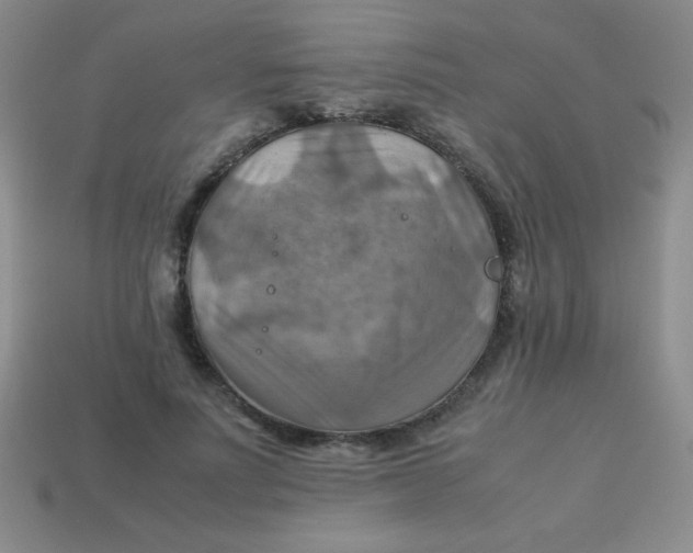 X0000113590691200910091500