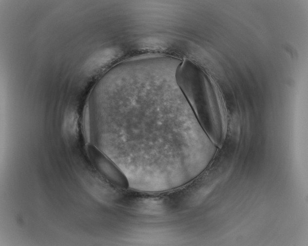 X0000113590692200910091500