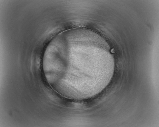 X0000113590693200910091500