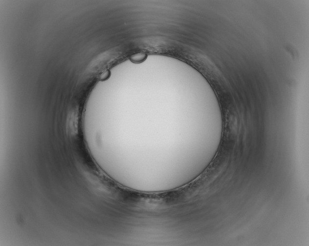 X0000113590694200910091500