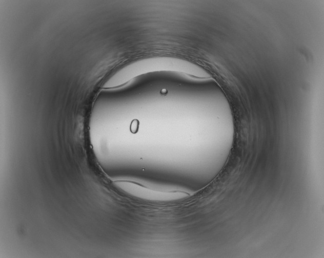 X0000113590696200910091500