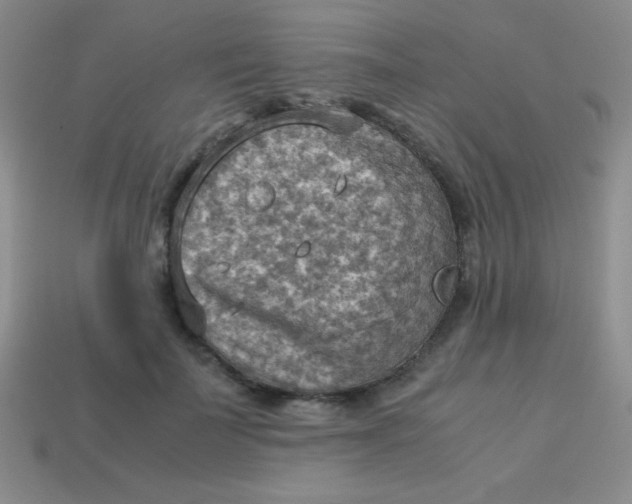 X0000113590699200910091459