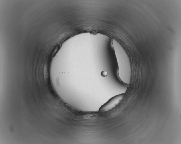 X0000113590700200910091459