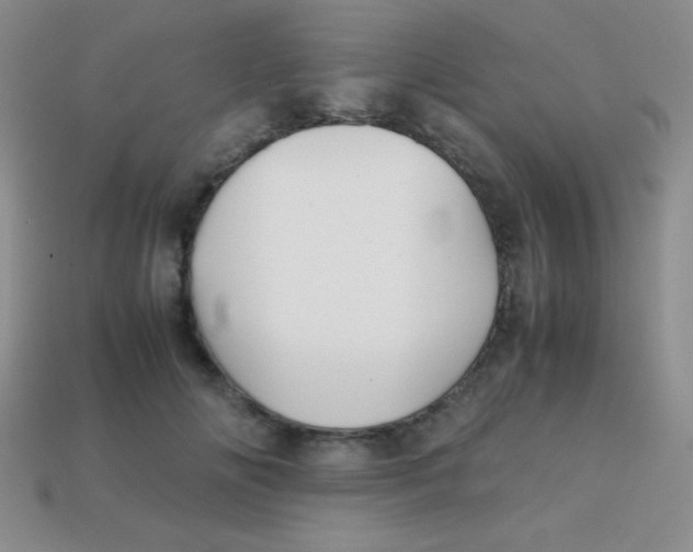 X0000113590702200910091459