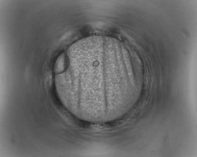 X0000113590703200910091459