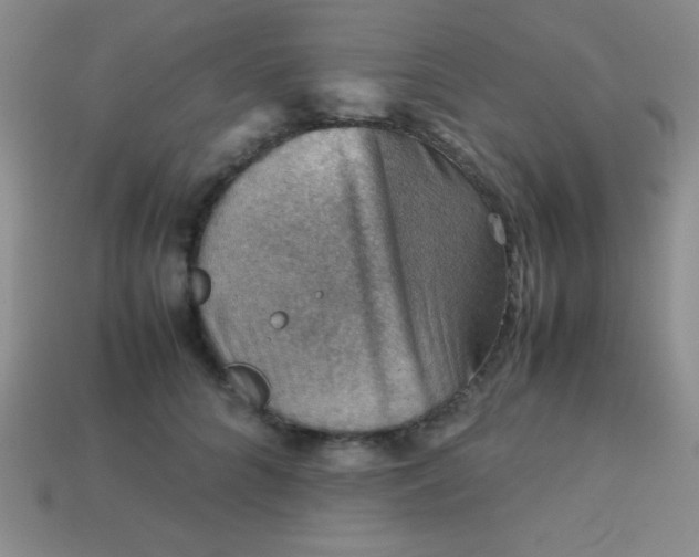 X0000113590704200910091459