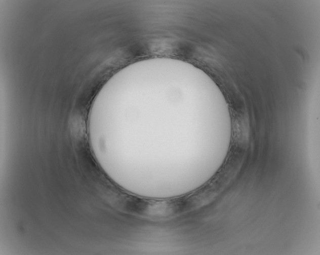 X0000113590705200910091459