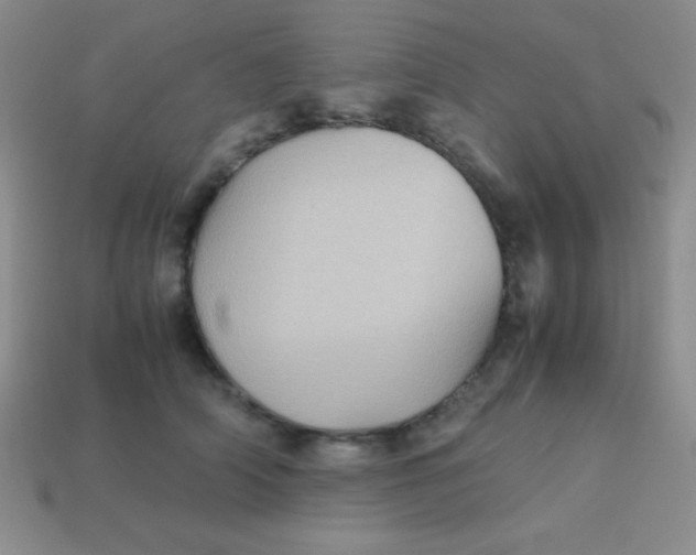 X0000113590706200910091459