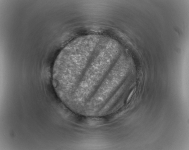 X0000113590707200910091459