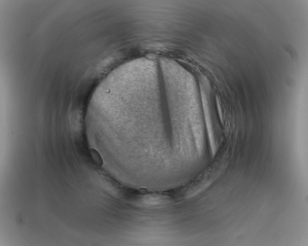 X0000113590708200910091459