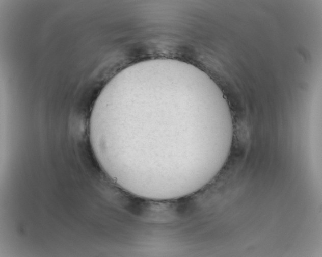 X0000113590709200910091459