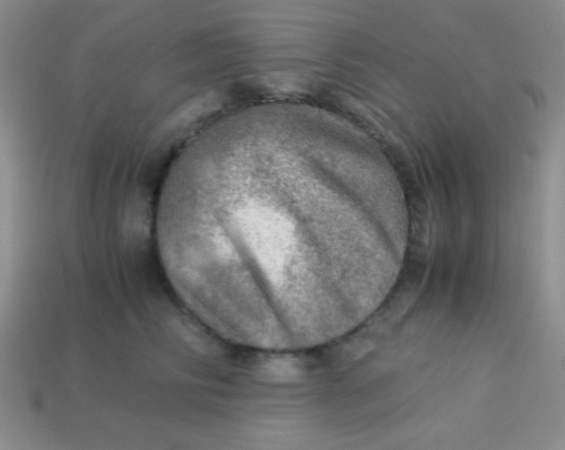 X0000113590710200910091459