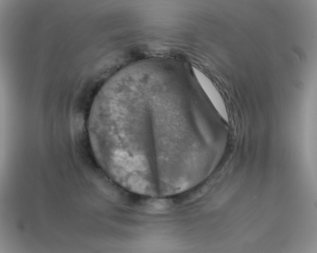 X0000113590711200910091459