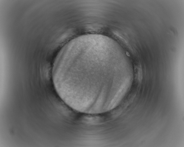 X0000113590712200910091459