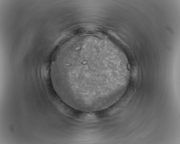 X0000113590715200910091459