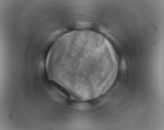 X0000113590716200910091459