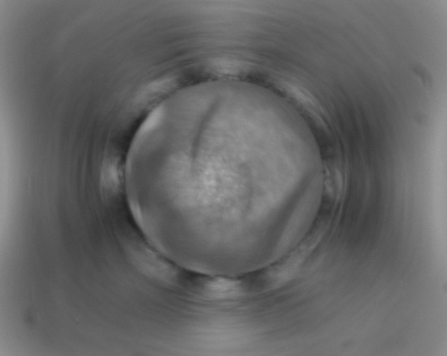 X0000113590718200910091459