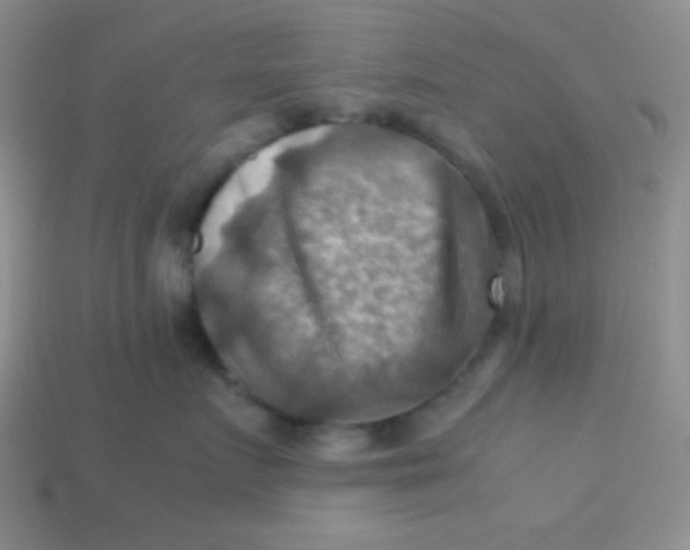 X0000113590719200910091459