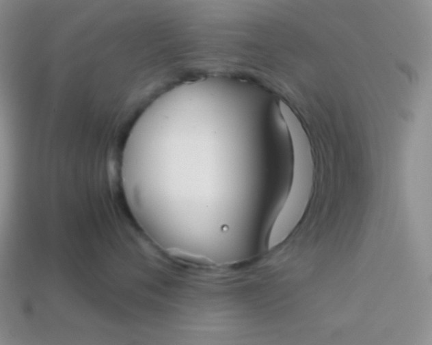 X0000113590720200910091459