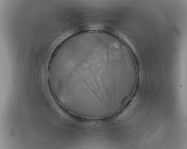 X0000113590721200910091459