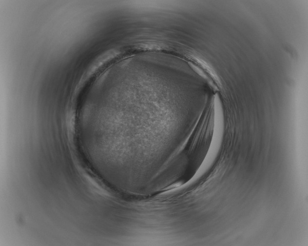 X0000113590722200910091459