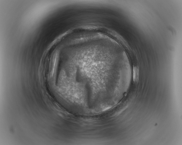 X0000113590723200910091459