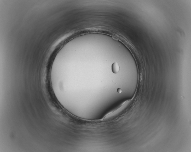 X0000113590724200910091459