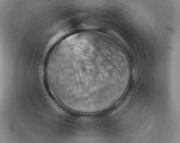 X0000113590725200910091459