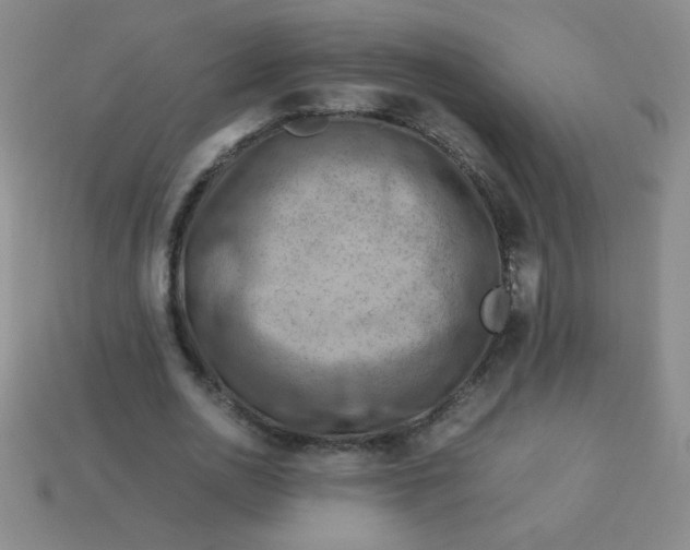 X0000113590726200910091459